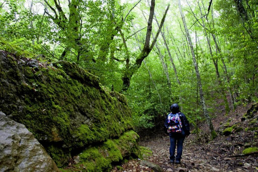 Ferula Romantica Mansarda Tra Fiumi E Montagne Sardegna Seùlo المظهر الخارجي الصورة