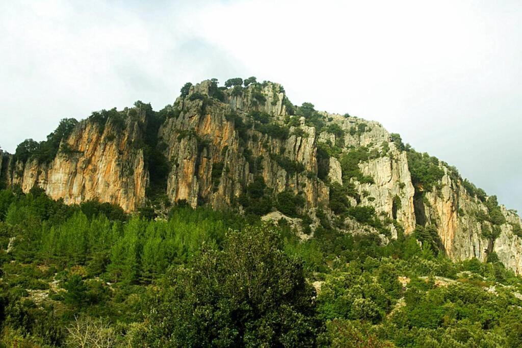 Ferula Romantica Mansarda Tra Fiumi E Montagne Sardegna Seùlo المظهر الخارجي الصورة