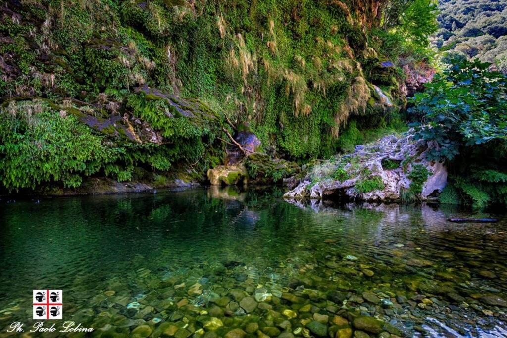 Ferula Romantica Mansarda Tra Fiumi E Montagne Sardegna Seùlo المظهر الخارجي الصورة