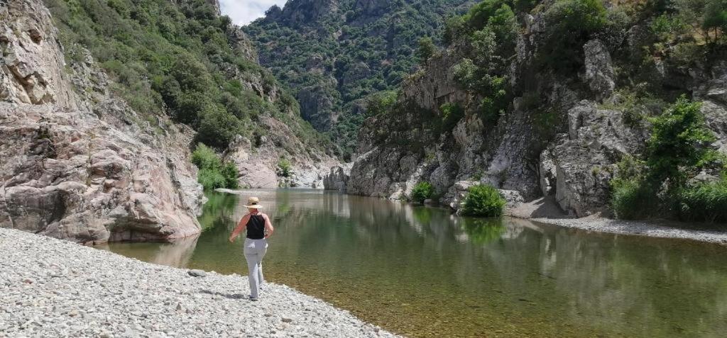 Ferula Romantica Mansarda Tra Fiumi E Montagne Sardegna Seùlo المظهر الخارجي الصورة